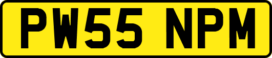 PW55NPM