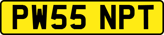 PW55NPT