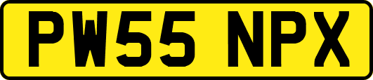 PW55NPX