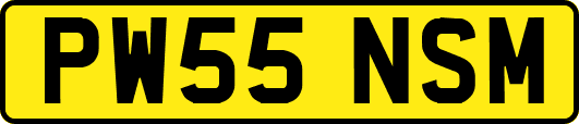 PW55NSM