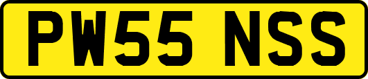 PW55NSS