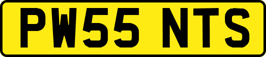 PW55NTS