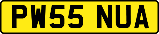 PW55NUA