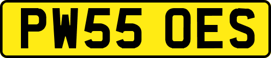 PW55OES
