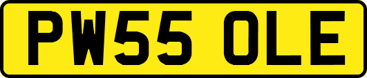 PW55OLE