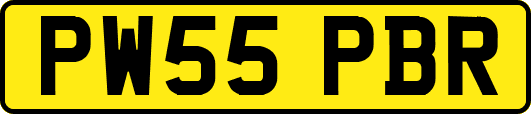 PW55PBR