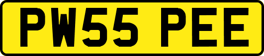 PW55PEE