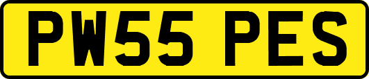 PW55PES