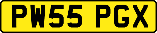 PW55PGX