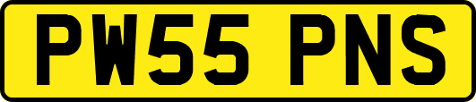 PW55PNS