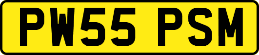PW55PSM