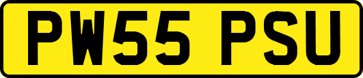 PW55PSU