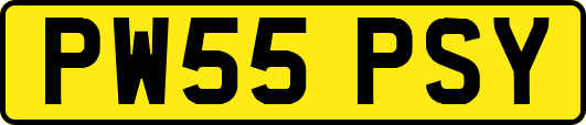 PW55PSY