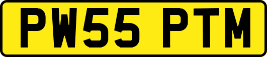 PW55PTM