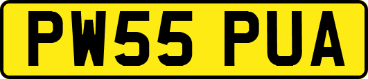 PW55PUA