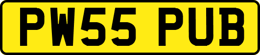 PW55PUB