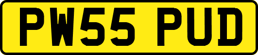 PW55PUD