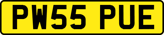 PW55PUE