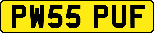 PW55PUF