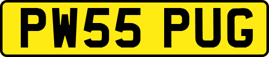 PW55PUG