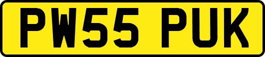 PW55PUK