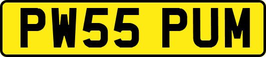 PW55PUM
