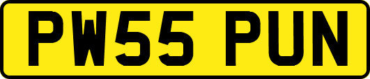 PW55PUN