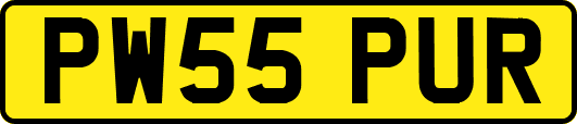PW55PUR