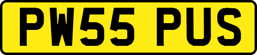 PW55PUS
