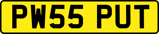 PW55PUT