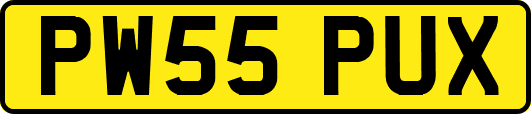PW55PUX
