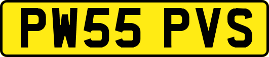 PW55PVS