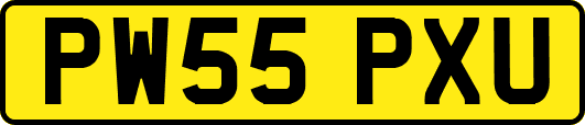 PW55PXU