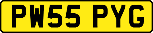 PW55PYG