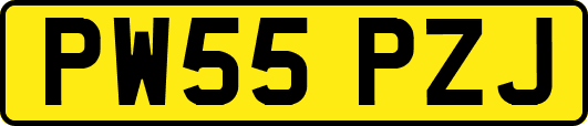 PW55PZJ