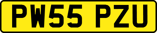 PW55PZU