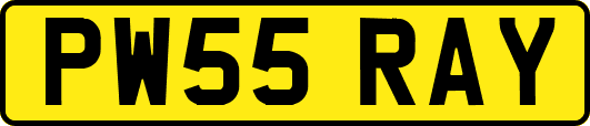 PW55RAY