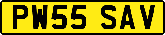 PW55SAV