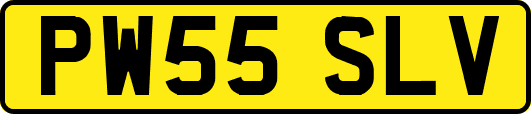 PW55SLV