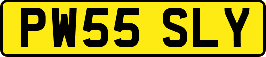 PW55SLY