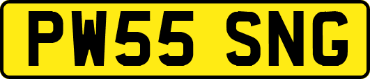 PW55SNG