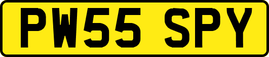 PW55SPY