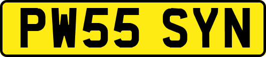 PW55SYN