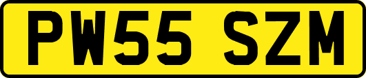 PW55SZM