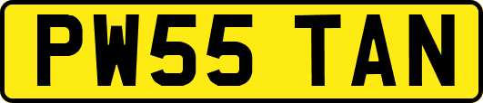 PW55TAN