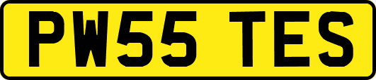 PW55TES