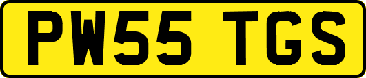 PW55TGS