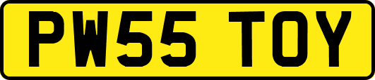 PW55TOY
