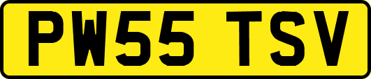 PW55TSV