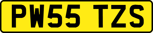 PW55TZS